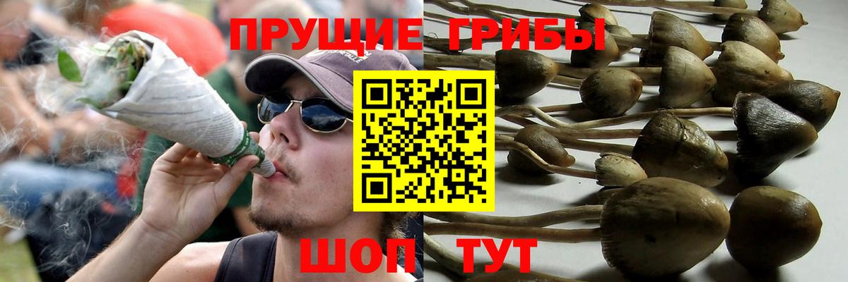 Татарск  Галлюциногенные грибы Magic Shrooms  Вход с VPN 